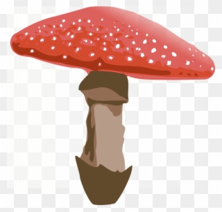 Amanita Muscaria Png File - Amanita Muscaria Png Clipart