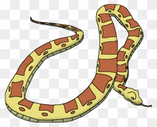 Reticulated Python - Snake Clipart