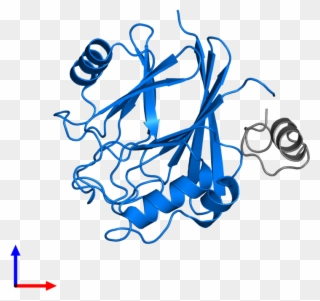 <div Class='caption-body'>pdb Entry 5gtu Contains 1 - Illustration Clipart