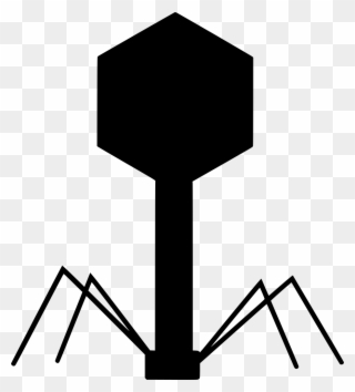 Download Png - Bacteriophage Black And White Clipart