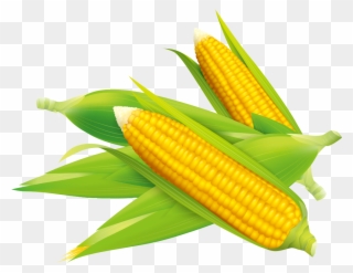 Corn Vector Flake - Corn Vector Png Clipart