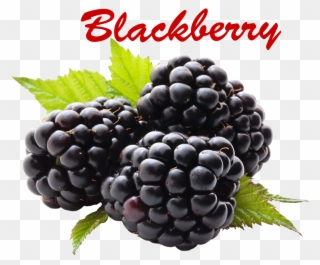Blackberry Fruit Clipart