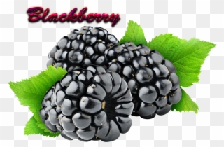 Blackberry Download Png - Blackberry Fruit Png Clipart