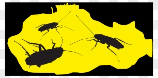 Cucarachas - Illustration Clipart