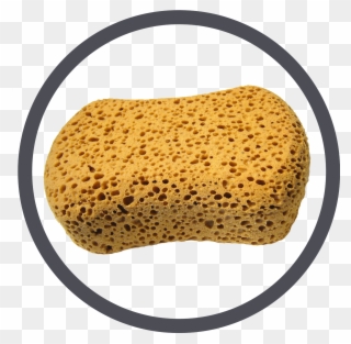 Verficonen Icoon Spo - Sponge Activity Clipart
