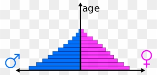 Population Cliparts - Population Pyramid Clipart - Png Download