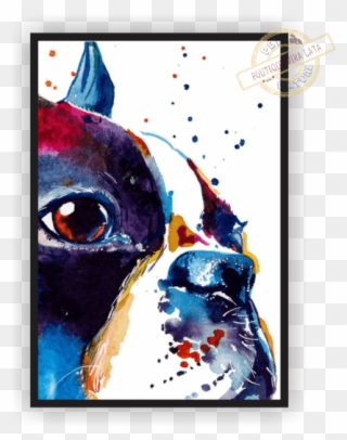 Pôster "bulldog Color" - Boston Terrier Painting Arts Clipart
