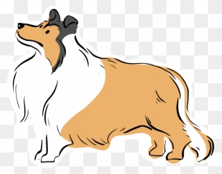 Rough Collie Clipart Dog Free - Dog - Png Download