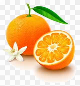 Clip Art - Orange Vitamin C Png Transparent Png