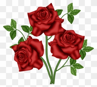 Ggs Roses - Floribunda Clipart