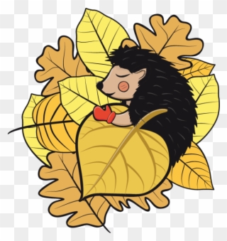 Hedgehog - Educational Cartoon - Hedgehog Hibernating Clipart - Png Download