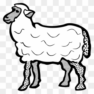 Big Image - Sheep Name In Arabic Clipart