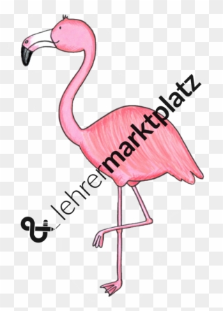 ‹ › - Greater Flamingo Clipart