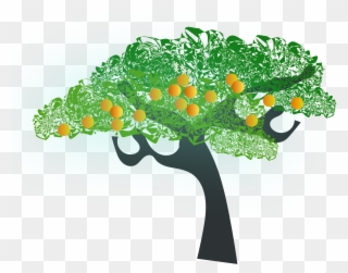 Fig Tree Clipart At Getdrawings - Orange Tree Clip Art - Png Download