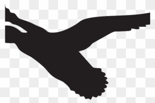 Wood Duck Clipart Flying Art - Silueta Pato Volando - Png Download