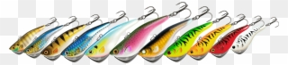 Kamooki Lures - Trout Clipart