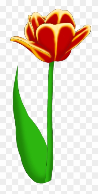 Tulip Bouquet Example Image - Lady Tulip Clipart