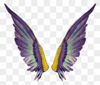Clip Art Related Wings Transprent Png Free - Fairy Wing Gif Transparent