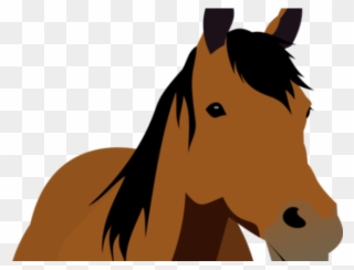 Stallion Clipart Mare - Horse Front View Clipart - Png Download