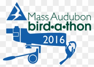Bird A Thon Resources - Mass Audubon Clipart