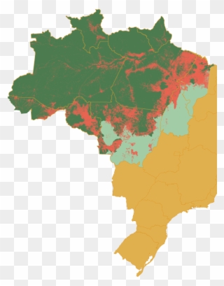 Amazon Biome - Brazil Clipart