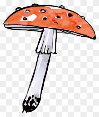 Drawn Mushroom Wild Mushroom - Mushroom Clipart