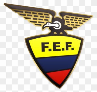 878 X 800 3 - Ecuadorian Football Federation Clipart
