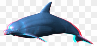 Dolphin Png Pic - Dolphin Png Clipart