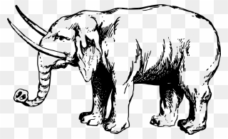 Clip Art Details - Elephant Ancient - Png Download