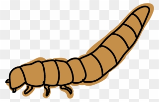 Celtic Ukulele Design For Kevin Carroll - Maguey Worm Clipart