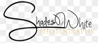 Shades Of White Photography - Calligraphy Clipart