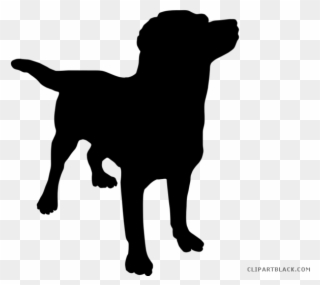 Dog High Quality Animal Free Black White Clipart Images - Have Black Dog - Png Download