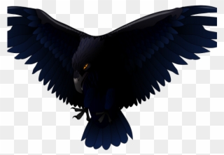 Bird Of Prey Clipart Transparent - Transparent Background Raven Png
