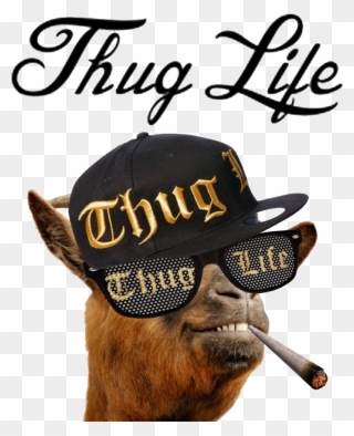 Thug Life Png - Thug Life Clipart
