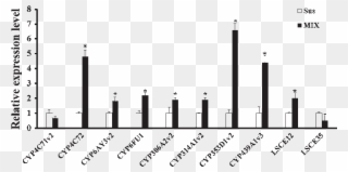 Expression Levels Of Detoxification Genes Between Mix Clipart