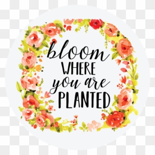 Bloom Where You Are Planted - Dia Das Maes Fundo Clipart