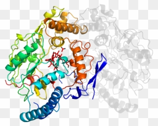 D5vujb In Context Of Pdb - Illustration Clipart