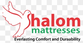 Untitled-1 - Shalom Mattress Logo Clipart