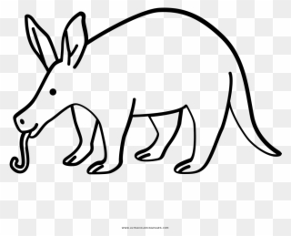 Aardvark Coloring Page - Kangaroo Clipart