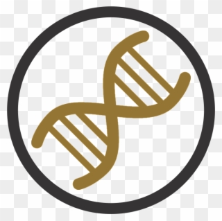 Genetics, Mathematics - Dna Clipart - Png Download