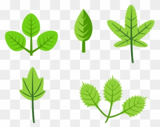 Clipart Of Herb And Rg - Leaves On Tree Cartoon - Png Download