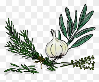 Neapolitan Herb - Illustration Clipart