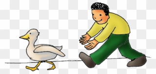 If Your Child Misses A Day, They Can Come On Another - Duck Clipart