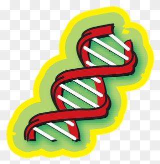 Chromosome, Medical, Science, Dna, Medicine, Genetic - Illustration Clipart