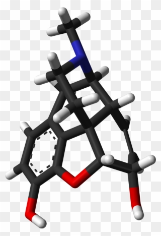 Morphine From Xtal 3d Sticks - Endorphins Structure Clipart