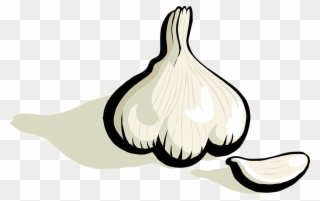 Onion Clipart Tree - Gambar Bawang Hitam Putih - Png Download
