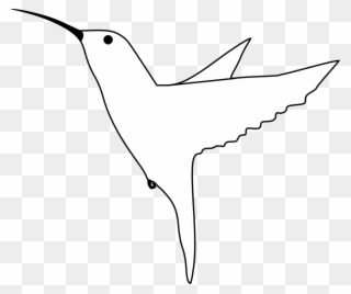 Hummingbird - Bird Drawing Side View Clipart