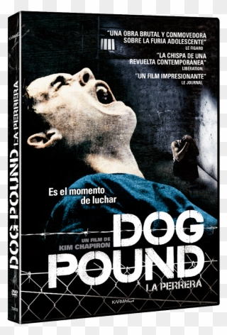 Dogpound Dvd Dogg Pound Movie Clipart Pinclipart