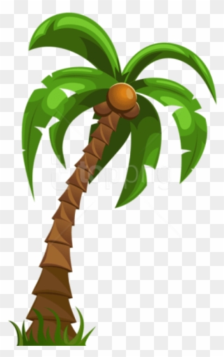 Free Png Download Palm Png Images Background Png Images - Cartoon Coconut Tree Transparent Background Clipart