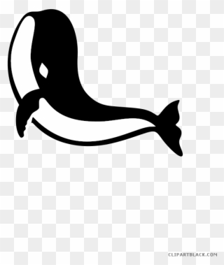 Black And White Shark Animal Free Black White Clipart - Paus Animasi - Png Download